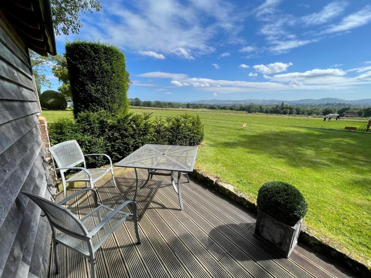 Stunning Cabin With Incredible Views Near Goodwood Rogate Экстерьер фото