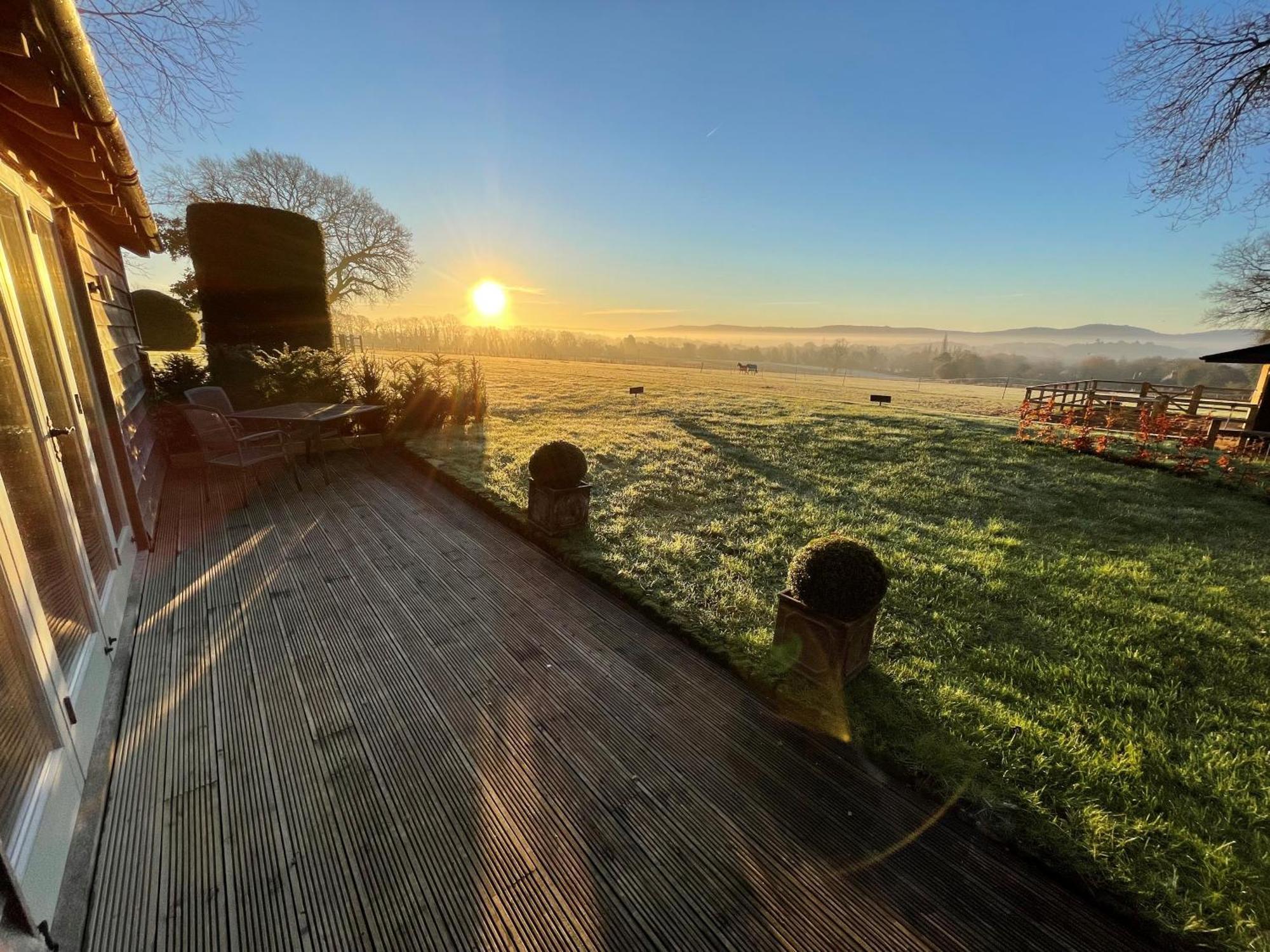 Stunning Cabin With Incredible Views Near Goodwood Rogate Экстерьер фото