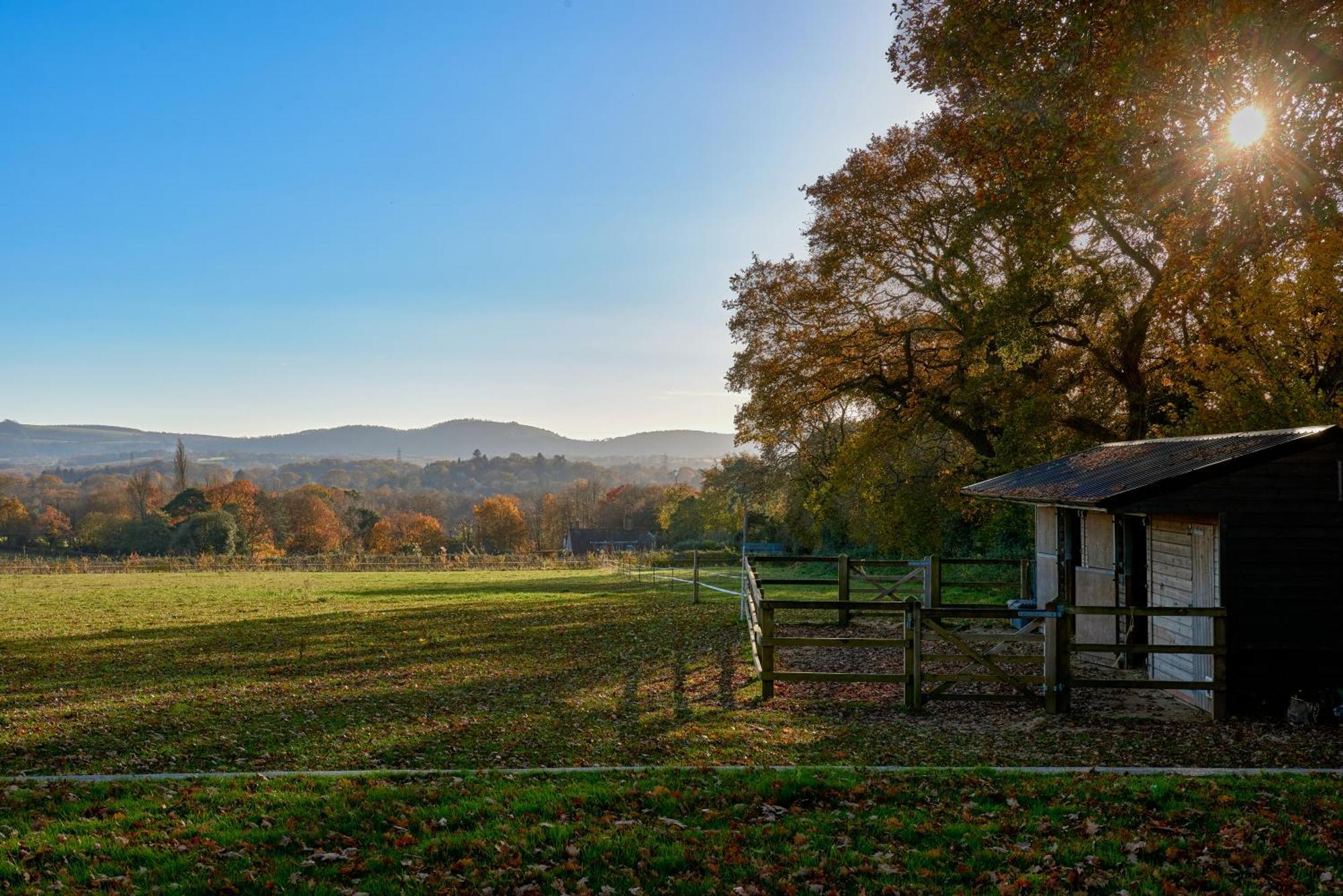 Stunning Cabin With Incredible Views Near Goodwood Rogate Экстерьер фото