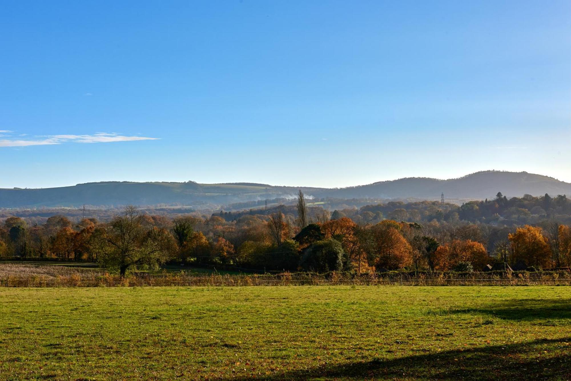 Stunning Cabin With Incredible Views Near Goodwood Rogate Экстерьер фото