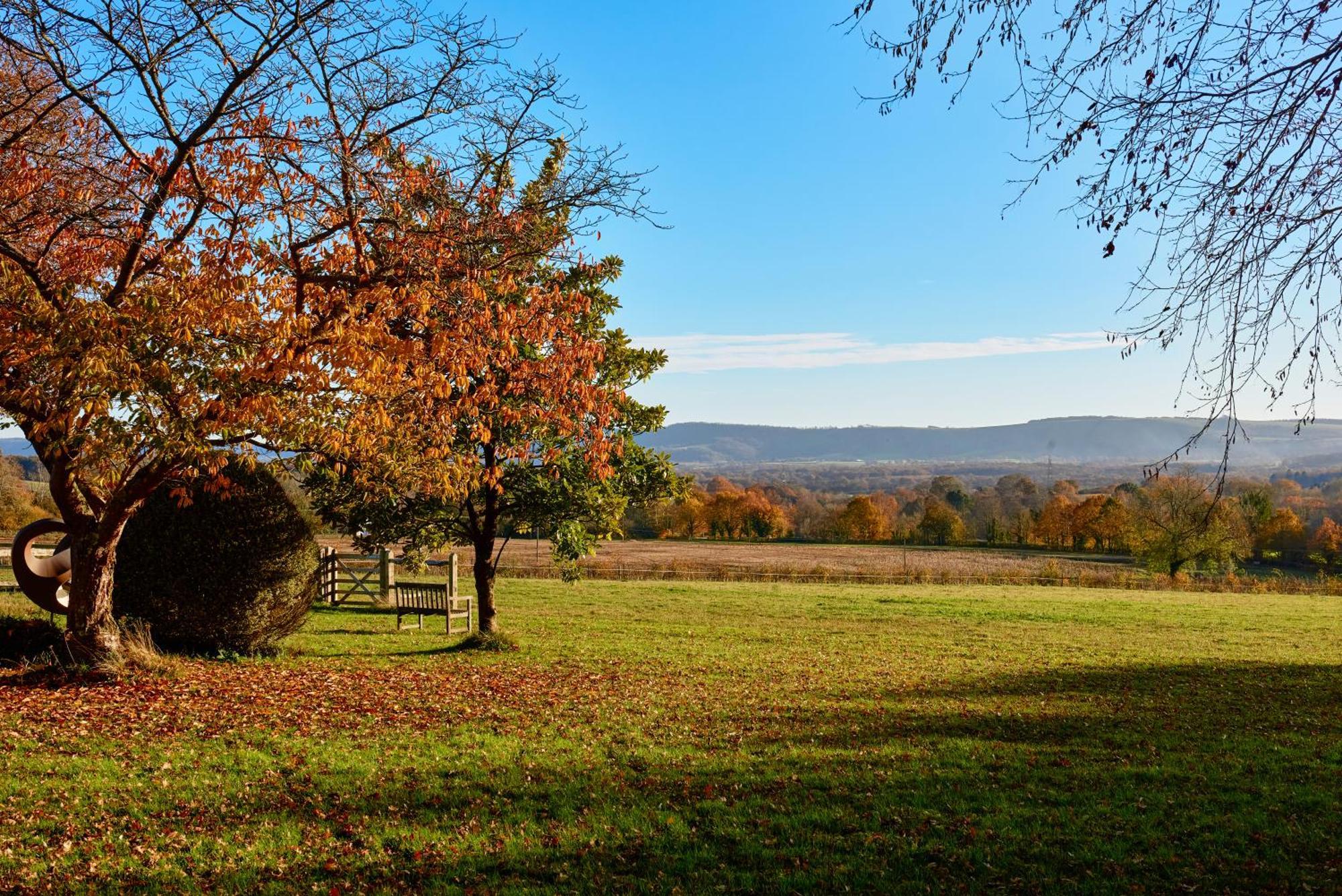 Stunning Cabin With Incredible Views Near Goodwood Rogate Экстерьер фото