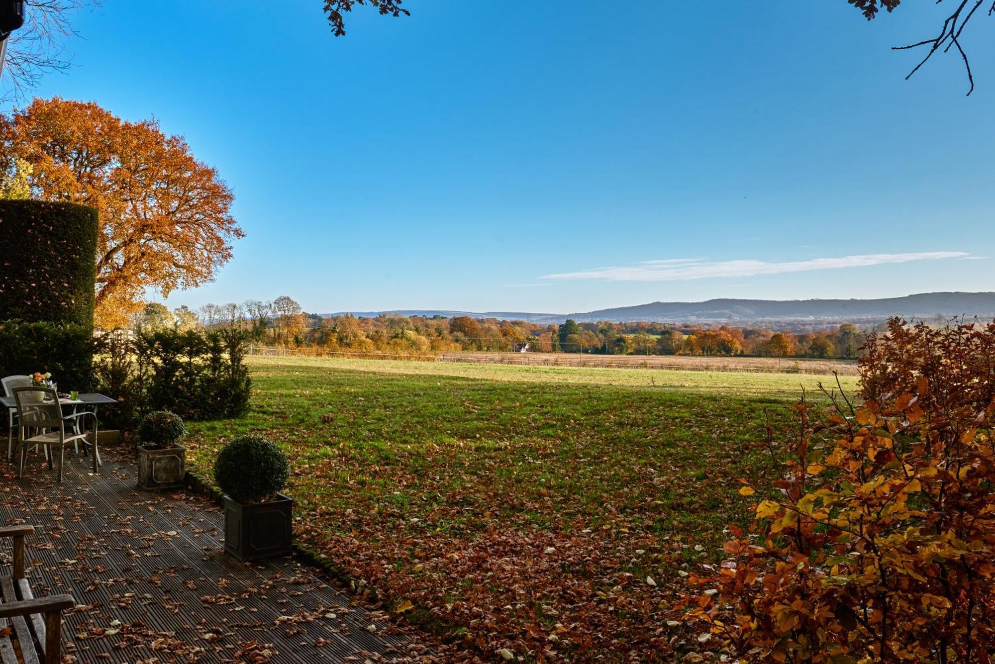 Stunning Cabin With Incredible Views Near Goodwood Rogate Экстерьер фото