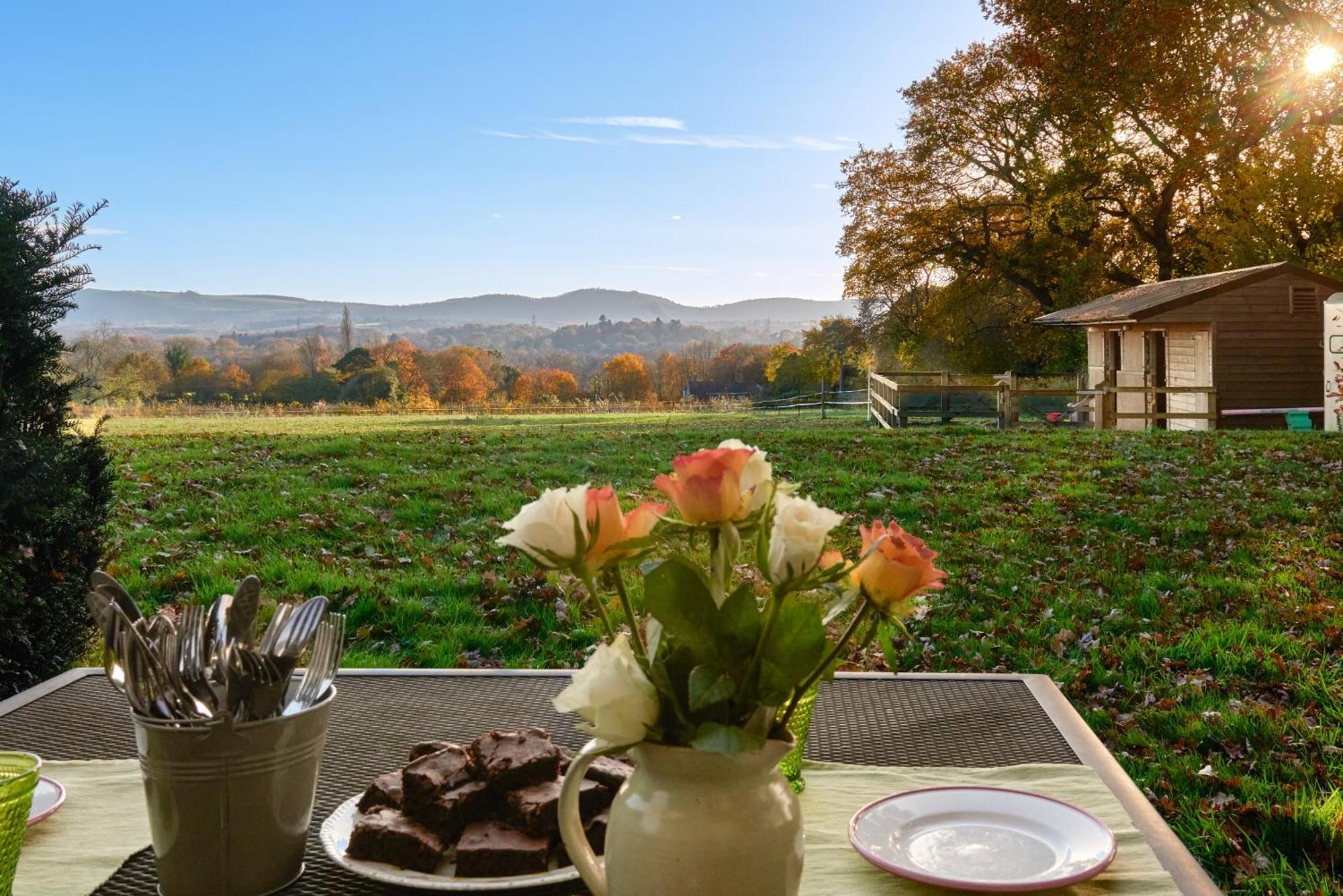 Stunning Cabin With Incredible Views Near Goodwood Rogate Экстерьер фото