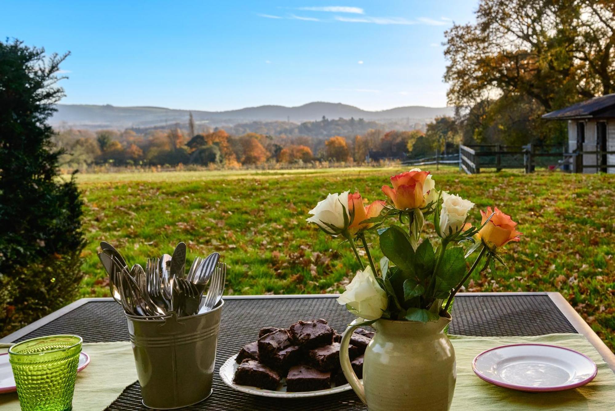 Stunning Cabin With Incredible Views Near Goodwood Rogate Экстерьер фото